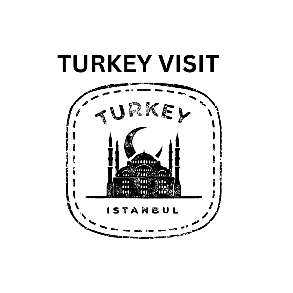 work visa