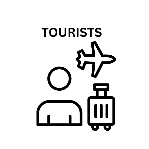 work visa